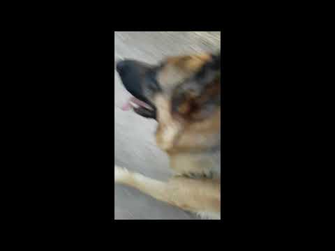 Schneller als die Polizei erlaubt