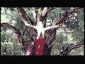 Deadly Premonition Music Video Tribute 
