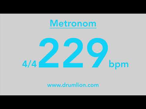 229 bpm - 4/4 | DRUMLION