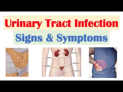 Urinary Tract Infection (UTI) Signs & Symptoms (& Why They Occur)