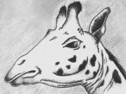 UNDERGRASS - Mushrooms Project