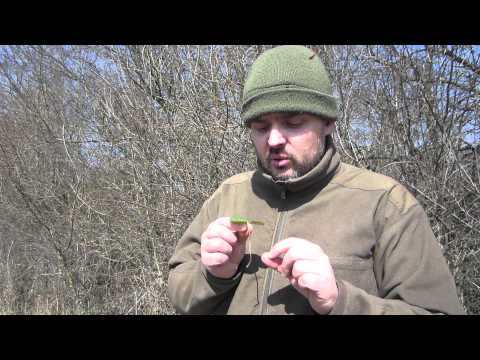 Haselwurz - Heilkraut oder Giftpflanze