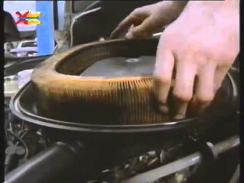 Mittendrin 12 auf einem Flachdach - Umweltmagazin mit Peter Lustig