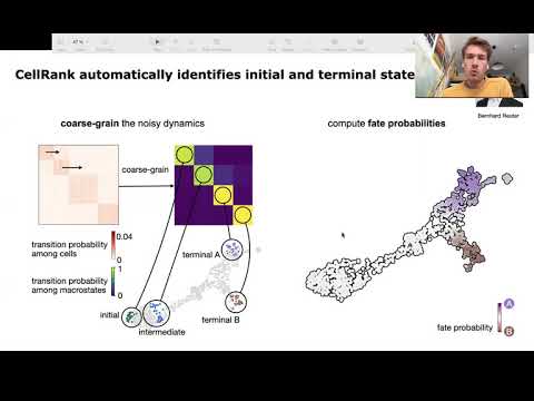 CellRank for directed single-cell... - Marius Lange - Special Session 05 - Talk - ISMB/ECCB 2021