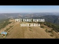 Welcome To The Home Of Crusader Safaris Free Range Hunting South Africa