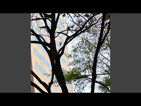 Nurozar Akhir Perjalanan Cinta