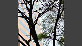 Download lagu Nurozar Akhir Perjalanan Cinta mp3