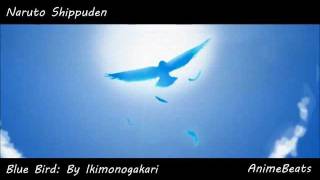 Naruto Shippuden: Blue Bird (Male Version)