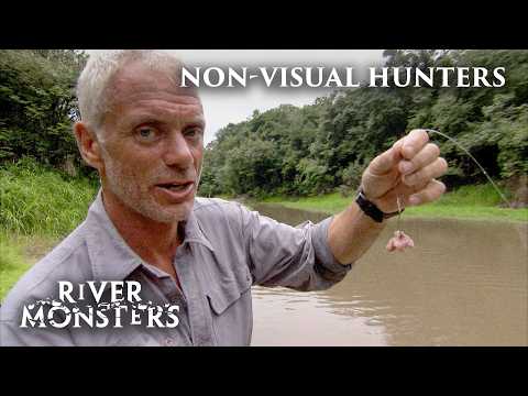 Fish That Hunt Using Vibration, Electroreception & Scent | River Monsters