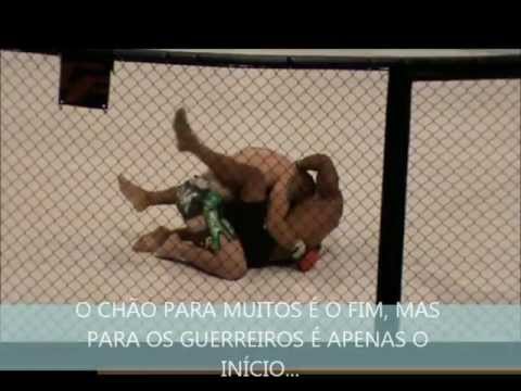 denis araujo cage fight