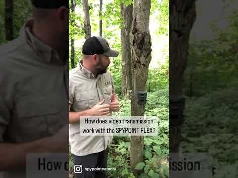 How to Use the Video Transmission Feature on the FLEX | SPYPOINT #Shorts