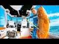 Solo 3 Days Boat Camping In Remote Ocean Catch And Cook