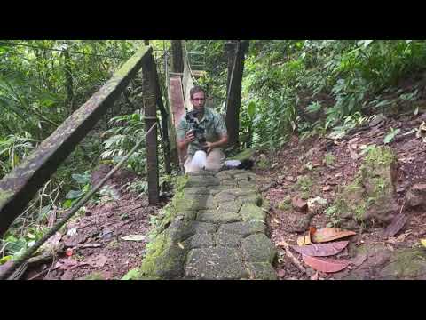 Fer De Lance close encounter