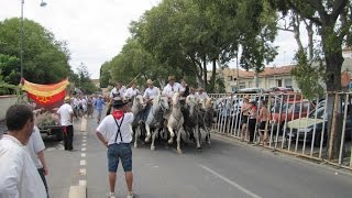 preview picture of video 'compilation d'abrivado à Mauguio 2014'