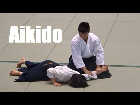 Precise and Elegant Aikido - Akira Matsumura Shidoin 精密で優雅な合気道・松村光指導員