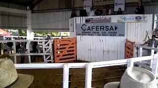 preview picture of video 'Remate Expo Caaguazu 2012 - Lote Cabaña La Mocha'