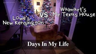 Getting Ready for Christmas in October?! | Early Tree Setup + half day in the life 🐾
