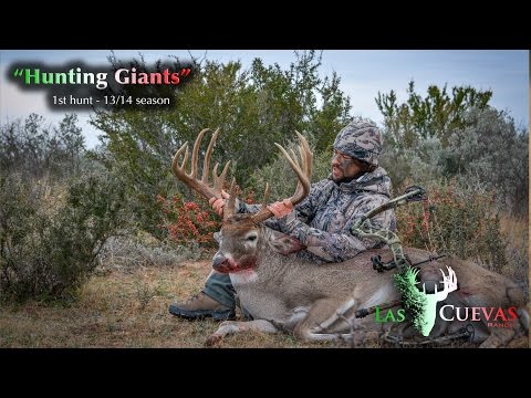 "Hunting Giants" 1st hunt - Las Cuevas Ranch
