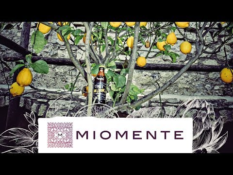 Bier-Trend Craft-Beer: Welche neuen Bieraromen gibt es? | Miomente