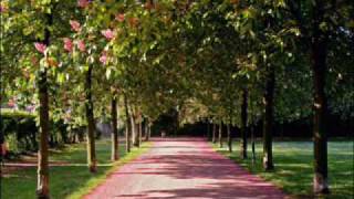 bobby cole  &quot;but it´s spring&quot;