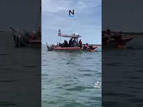 Entangled 900-Pound Sea Turtle Rescued By Coast Guard In Nantucket Harbor