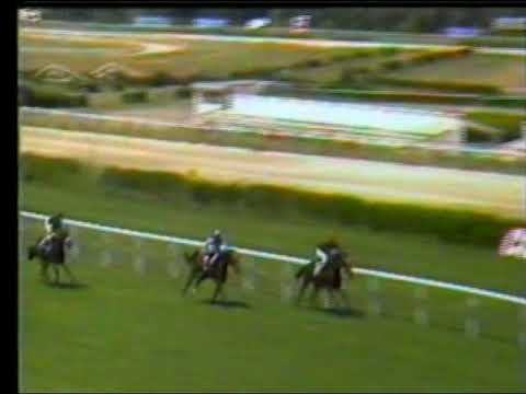 1985.06.16, nº 163 LZ (Alfonso y Frco Jav. Paramo (AyG, 3+) 1º Rubrique, 2º Castellar, 3ª Wamba