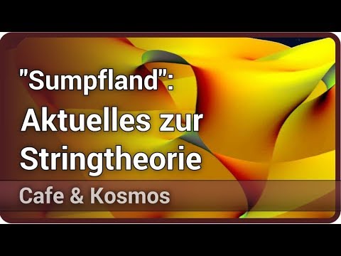 The Universe, String Theory, and the Swampland • Cafe & Kosmos | Florian Wolf