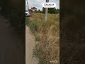 Видео превью