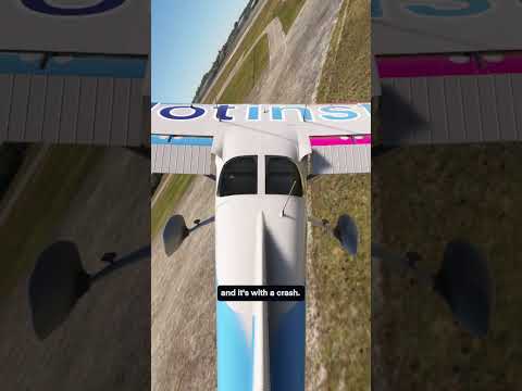 What do you think? 🤔