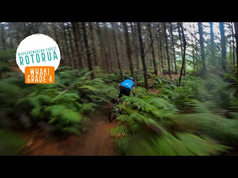 Whaki Trail, Rotorua - Two faced TRACTION