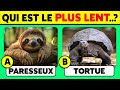 Quiz 45 Questions Sur Les ANIMAUX Teste Ta Culture Générale Sur Les Animaux