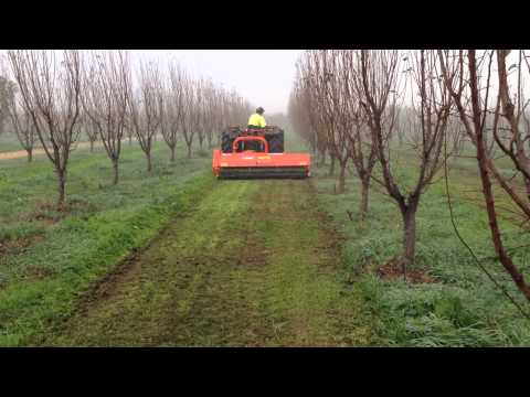 Guidolin Agrimac Tierre Leopard Mulcher