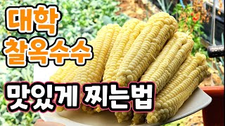 딱 이것 넣으면? 대학 찰옥수수 최고로 맛있는 맛!