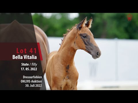 OnLive-Auktion Lot 41 Bella Vitalia Stute v. Bonds - Vitalis