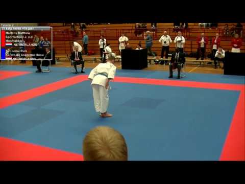 NK Senioren en Teams 2017 Apeldoorn Tatami 2