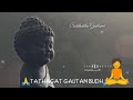 BUDHA Short Video Panati Pata Ver Mani Hurt Touching