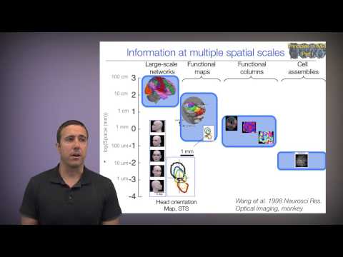 Principles of fMRI Part 1, Module 10a: Spatial and temporal resolution