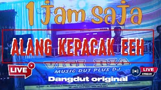 Download lagu FULL 1 JAM Feat OT. VIGIRIA MINI MUSIK  ACARA WEDDING RIKO & WANA - DS.HARAPAN MAKMUR SP9 HTI mp3 Download lagu FULL 1 JAM Feat OT. VIGIRIA MINI MUSIK  ACARA WEDDING RIKO & WANA - DS.HARAPAN MAKMUR SP9 HTI mp3