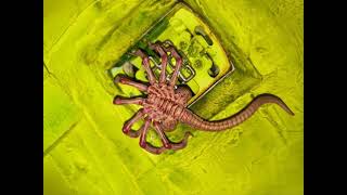 Alien  facehugger @alien  @alienshorts