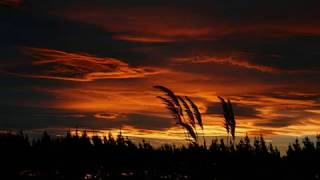 The Technicolor Phase - Owl City [Maybe I&#39;m dreaming]