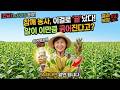 Hongjini S Farming Diary A Perfect Score For Beginners The Ultimate Field Management Guide For