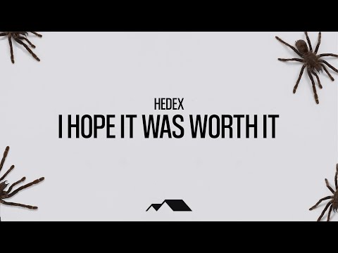 Hedex - I HOPE IT WAS WORTH IT