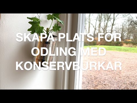 Skapa plats för odling med konservburkar