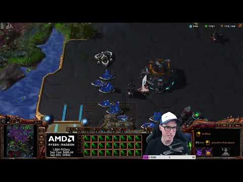 Pig Showcases The Importance Of Multi-prong Attacks With Zerg