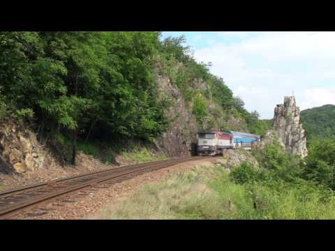 749.253 - Pikovická jehla