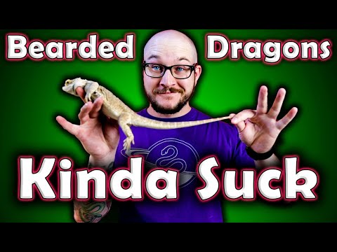 DO NOT GET A BEARDED DRAGON! | 3 Reasons Why Bearded Dragons Are Not Good Pets For Beginners
