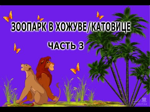 ЗООПАРК В ХОЖУВЕ /КАТОВИЦЕ ||ЧАСТЬ 3