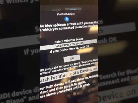 Nice Weber PianoDisc 128+ upgraded to Prodigy.