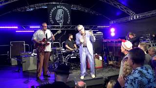 RICK ESTRIN & THE NIGHTCATS - LIVING HAND TO MOUTH