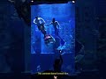 Funny Chubby Mermaid Funny Mermaid Amazing Chubby Prank